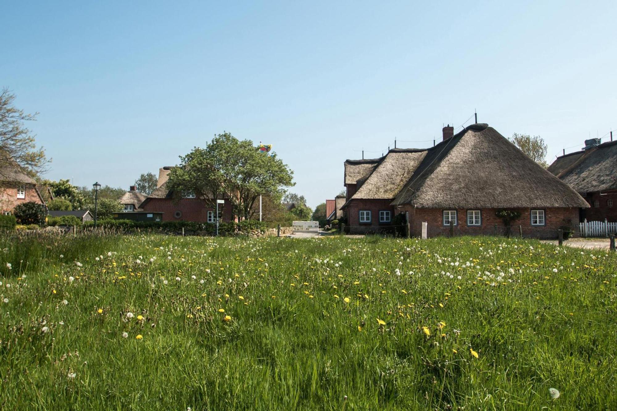 Reethus Gluecklicher Matthias Hausteil Waasterlun Oldsum Luaran gambar
